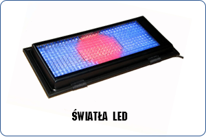 Światła led